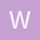 WiseVoyager829